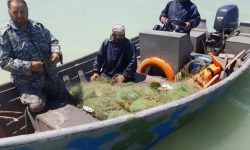اجرای گشت ساحلی و دریایی توسط نیروهای یگان حفاظت از منابع آبزی شیلات گلستان