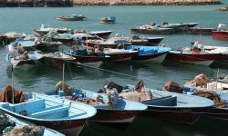 شرایط تاییدیه فنی قایق‌های صیادی در درگاه ملی مجوزها ثبت شود
