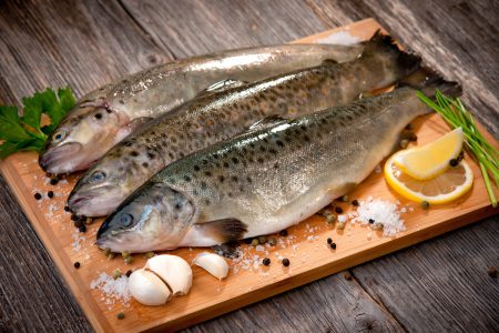 علت پایین بودن مصرف ماهی در بی‌اطلاعی از ارزش و تنوع غذایی آن است