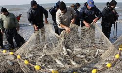 تهران میزبان همایش ماهیگیری مسئولانه با تاکید برزنجیره ارزش تون ماهیان
