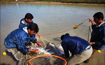 ممنوعیت صید آبزیان در رودخانه‌های خوزستان